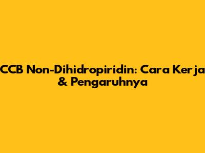 CCB Non-Dihidropiridin: Cara Kerja & Pengaruhnya
