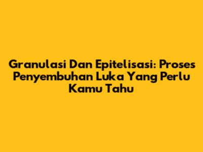 Granulasi Dan Epitelisasi: Proses Penyembuhan Luka Yang Perlu Kamu Tahu